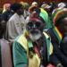 Holy Herb or Public Threat? High Court to Rule May 28 on Rastafarian Marijuana Use