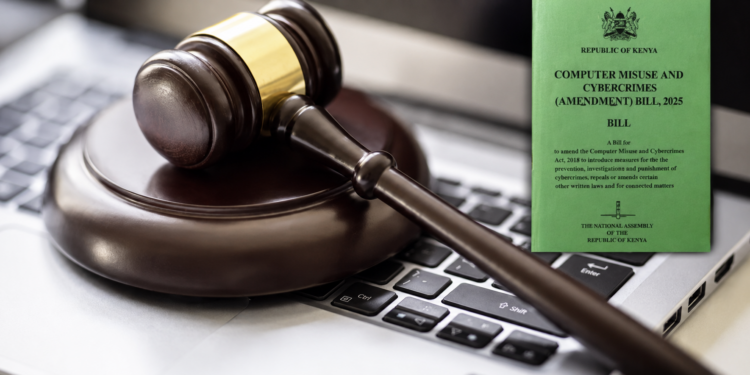 High Court Declares Website-Blocking Powers in Cybercrimes Amendment Act Unconstitutional