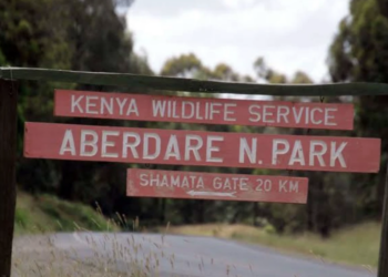 High Court Clears Construction of 52km Aberdare Road, Dismisses Petition Seeking To Block The Constitution