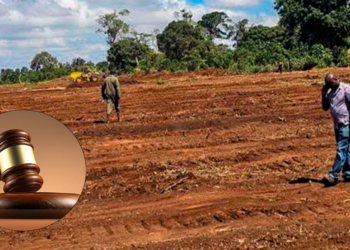 High Court Suspends Imenti State Lodge Project Pending Constitutional Petition