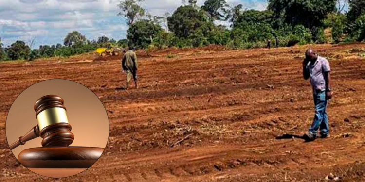 High Court Suspends Imenti State Lodge Project Pending Constitutional Petition