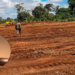 High Court Suspends Imenti State Lodge Project Pending Constitutional Petition