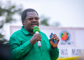 Tanzania Vice President Emmanuel Nchimbi Resigns and Retires From Politics