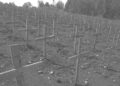 UK Charges Rwandan Man Over Alleged Role in 1994 Genocide