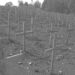 UK Charges Rwandan Man Over Alleged Role in 1994 Genocide