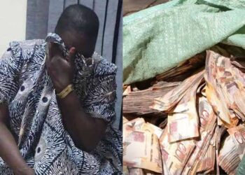 Swiga Pokes Holes in Prosecution Evidence in Mathe Wa Ngara Drug Trafficking Case