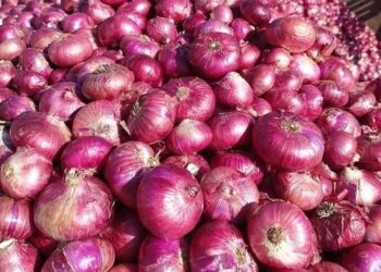 Philippines Fines Six Companies 1.76 Billion Pesos Over Onion Price-Fixing Cartel