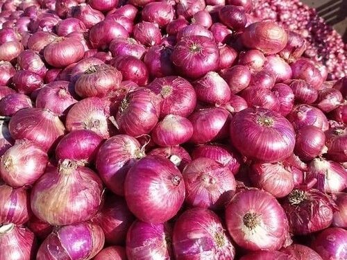 Philippines Fines Six Companies 1.76 Billion Pesos Over Onion Price-Fixing Cartel