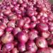 Philippines Fines Six Companies 1.76 Billion Pesos Over Onion Price-Fixing Cartel