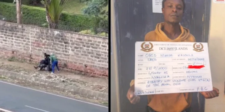 Second Suspect Arrested Over Viral Parklands Robbery