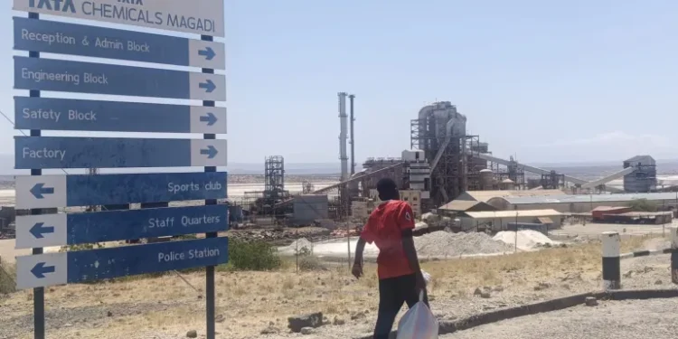 Tata Chemicals Warns of over 500 Job Losses as It Challenges Magadi Mine Shutdown