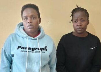 Two Women Charged Over Sh 1.3 Million Chicks Supply Fraud After Customer Loses Sh 530,000